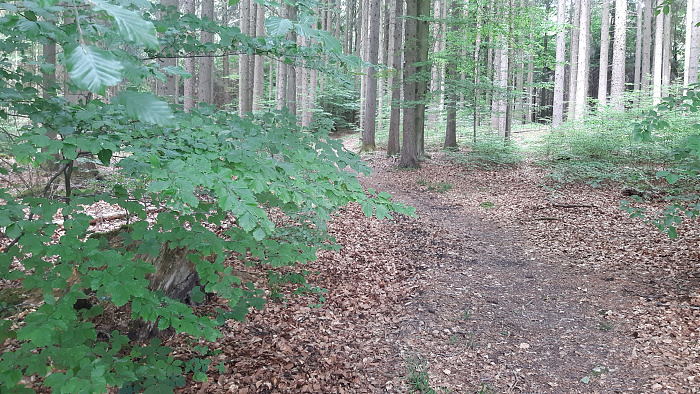 Klicke auf die Grafik für eine vergrößerte Ansicht

Name: Bild07_06.jpg
Ansichten: 171
Größe: 4,42 MB
ID: 3206697