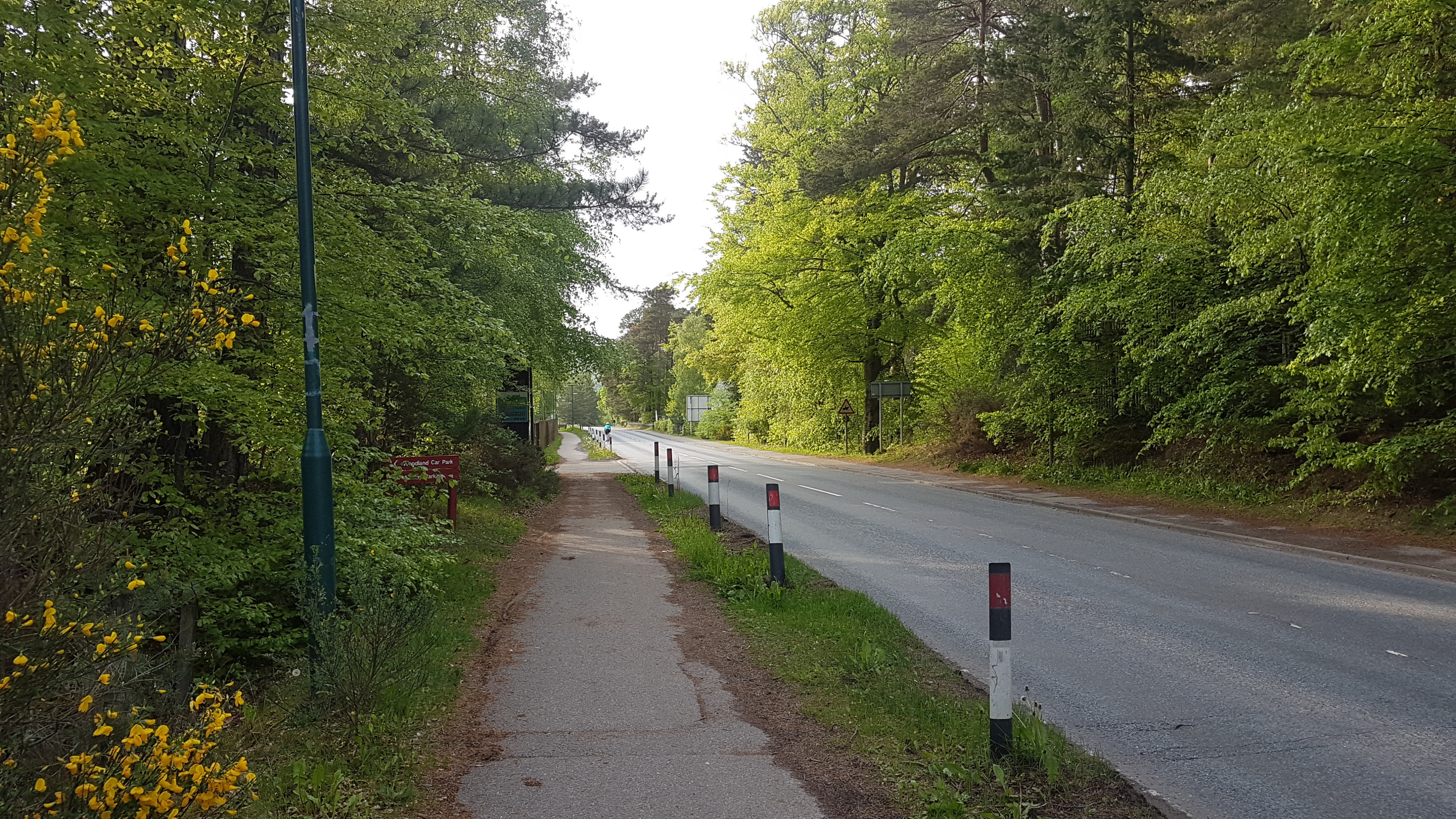 Klicke auf die Grafik für eine vergrößerte Ansicht

Name: 20230522_184310 Asphaltweg.jpg
Ansichten: 306
Größe: 4,94 MB
ID: 3208460