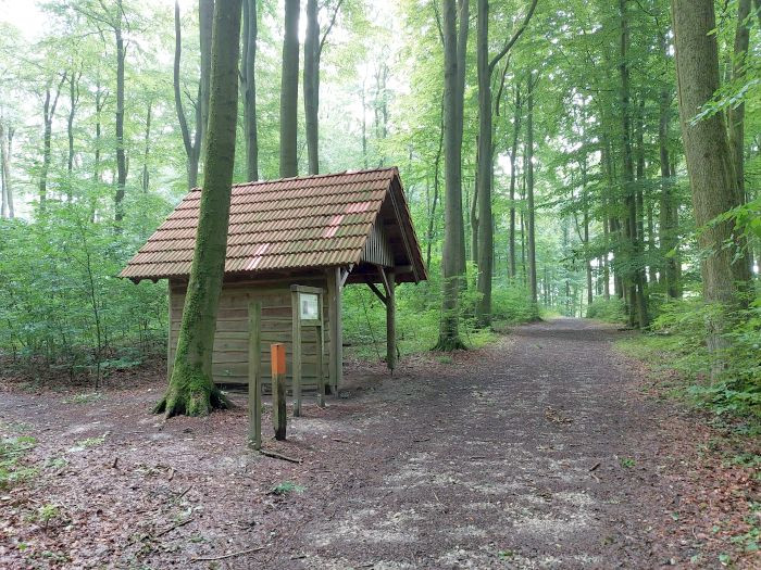 Klicke auf die Grafik für eine vergrößerte Ansicht

Name: 20230805_084235a.jpg
Ansichten: 200
Größe: 199,8 KB
ID: 3211890