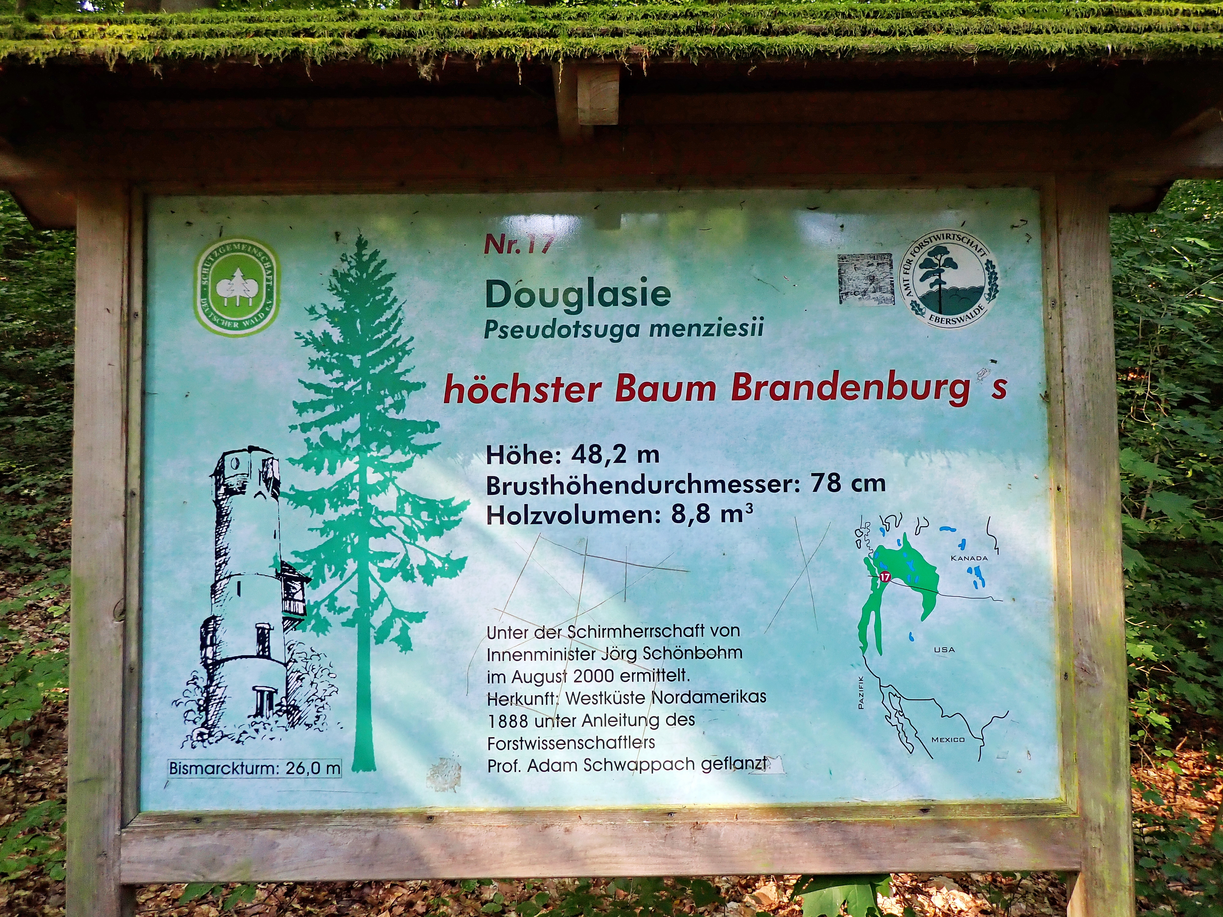 Klicke auf die Grafik für eine vergrößerte Ansicht  Name: T8130868R.jpg Ansichten: 0 Größe: 3,88 MB ID: 3212927