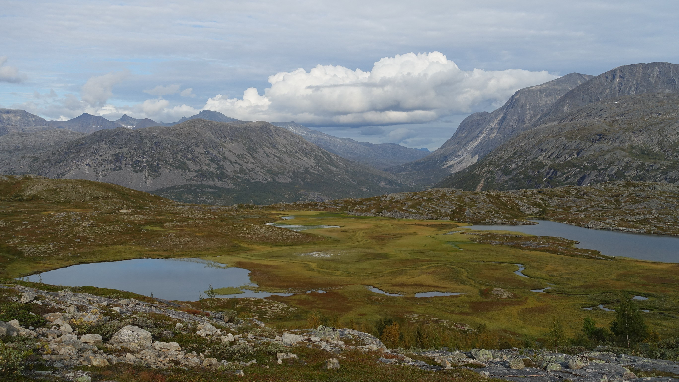 Klicke auf die Grafik für eine vergrößerte Ansicht

Name: 2023 Fjords 065.jpg
Ansichten: 1143
Größe: 1,15 MB
ID: 3221210
