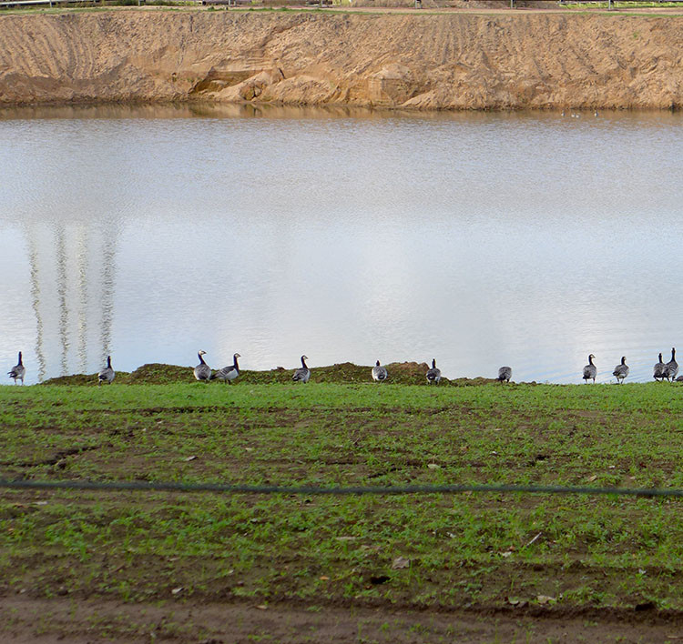 Klicke auf die Grafik für eine vergrößerte Ansicht  Name: Weser_862.jpg Ansichten: 0 Größe: 200,3 KB ID: 3221423