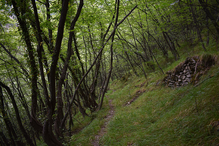 Klicke auf die Grafik für eine vergrößerte Ansicht  Name: DSC_0587.jpg Ansichten: 0 Größe: 1,43 MB ID: 3221691