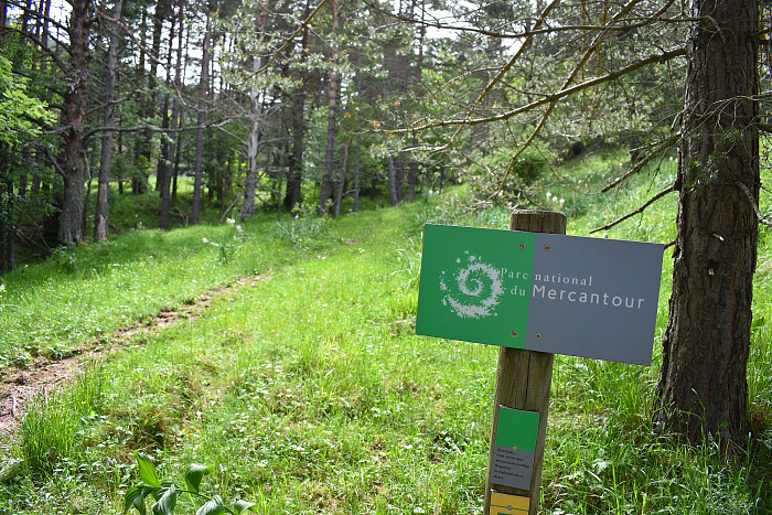 Klicke auf die Grafik für eine vergrößerte Ansicht  Name: DSC_0731.jpg Ansichten: 0 Größe: 1,13 MB ID: 3222105
