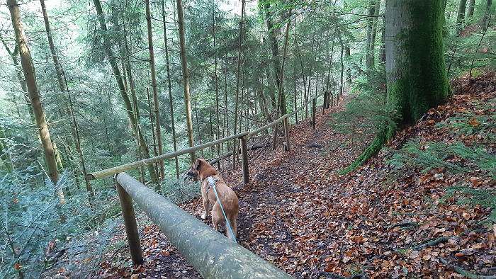 Klicke auf die Grafik für eine vergrößerte Ansicht

Name: Bild08_10.jpg
Ansichten: 190
Größe: 5,49 MB
ID: 3227773