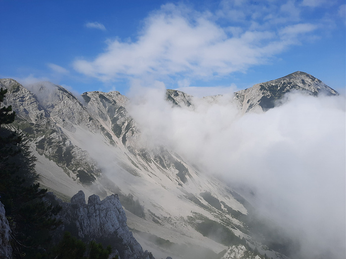 Klicke auf die Grafik für eine vergrößerte Ansicht  Name: Hochstuhl 08.jpg Ansichten: 0 Größe: 1,54 MB ID: 3223087