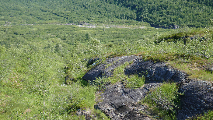 Klicke auf die Grafik für eine vergrößerte Ansicht

Name: Norwegen111.jpg
Ansichten: 744
Größe: 4,92 MB
ID: 3226533
