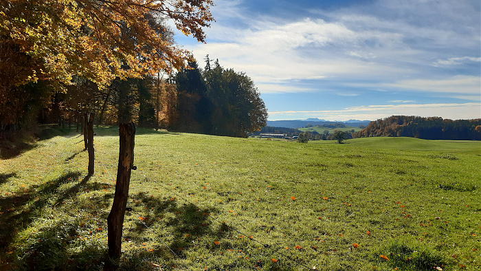 Klicke auf die Grafik für eine vergrößerte Ansicht

Name: Aussicht.jpg
Ansichten: 192
Größe: 4,75 MB
ID: 3227775