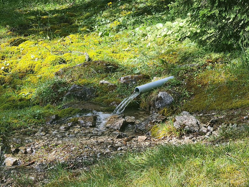 Klicke auf die Grafik für eine vergrößerte Ansicht

Name: 201 Quelle am Weg zur Loreahütte 01.jpg
Ansichten: 158
Größe: 381,2 KB
ID: 3227826