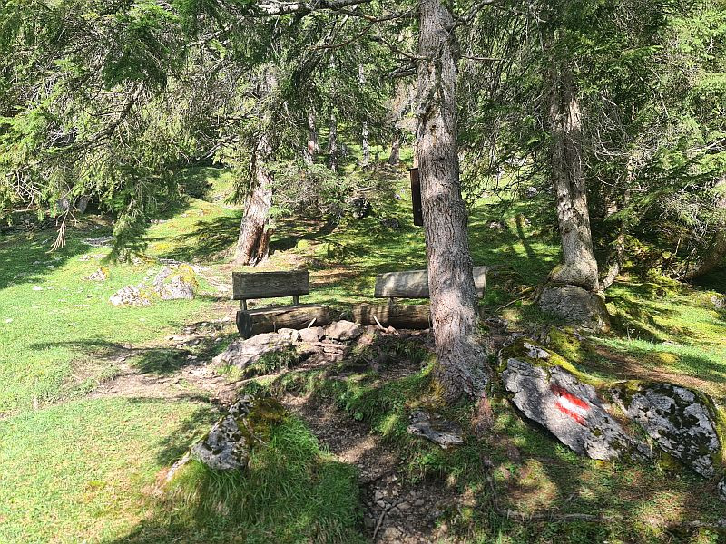 Klicke auf die Grafik für eine vergrößerte Ansicht

Name: 201 Quelle am Weg zur Loreahütte 02.jpg
Ansichten: 158
Größe: 343,1 KB
ID: 3227827