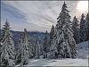 Klicke auf die Grafik für eine vergrößerte Ansicht  Name: comp_PXL_20231118_112431489.MV.jpg Ansichten: 0 Größe: 530,4 KB ID: 3229359