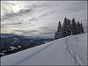 Klicke auf die Grafik für eine vergrößerte Ansicht  Name: comp_PXL_20231118_120606553.MV.jpg Ansichten: 0 Größe: 389,5 KB ID: 3229361