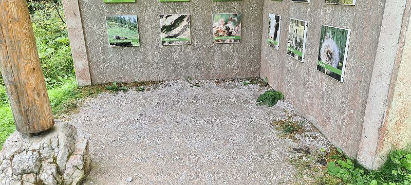 Klicke auf die Grafik für eine vergrößerte Ansicht  Name: 203 Unterstand am Hirschbichl 02.jpg Ansichten: 0 Größe: 168,2 KB ID: 3229778