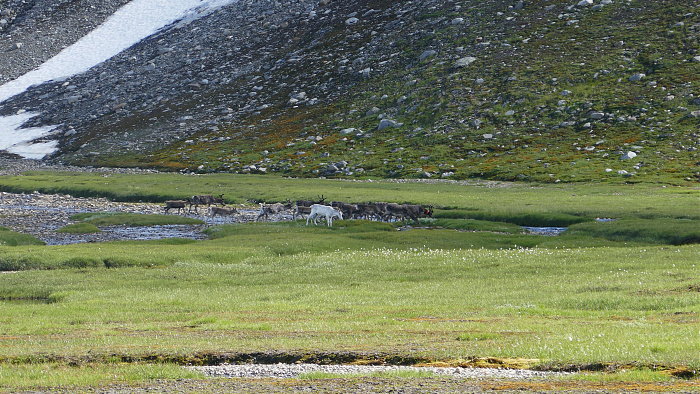 Klicke auf die Grafik für eine vergrößerte Ansicht  Name: Norwegen208.jpg Ansichten: 0 Größe: 4,37 MB ID: 3230236