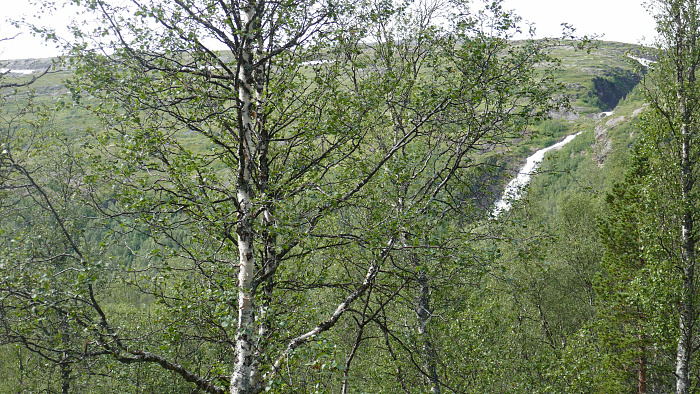 Klicke auf die Grafik für eine vergrößerte Ansicht

Name: Norwegen239.jpg
Ansichten: 444
Größe: 5,16 MB
ID: 3231485