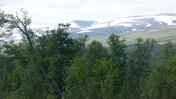 Klicke auf die Grafik für eine vergrößerte Ansicht

Name: Norwegen248.jpg
Ansichten: 443
Größe: 3,22 MB
ID: 3231490
