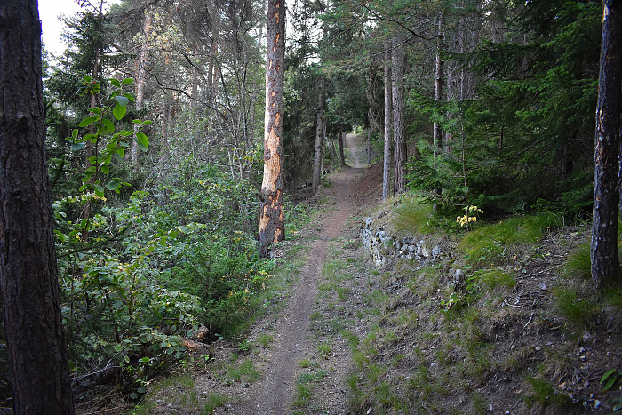 Klicke auf die Grafik für eine vergrößerte Ansicht  Name: DSC_0031.jpg Ansichten: 0 Größe: 1,37 MB ID: 3233331