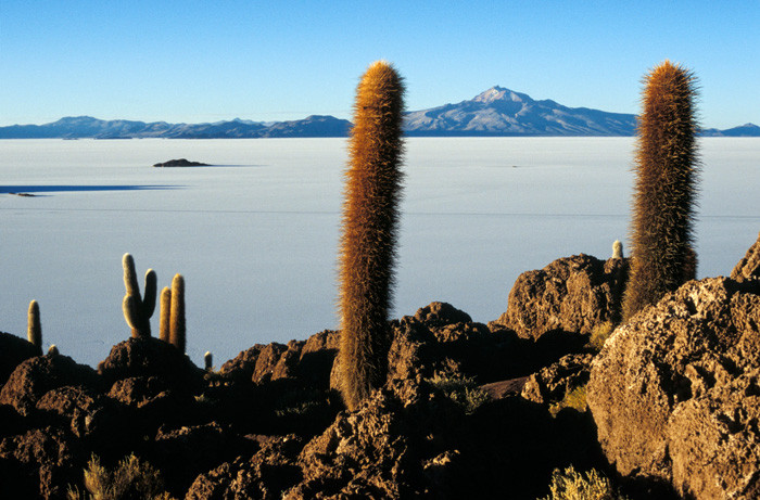 Klicke auf die Grafik für eine vergrößerte Ansicht

Name: Bolivien06_438.jpg
Ansichten: 390
Größe: 137,3 KB
ID: 3233687