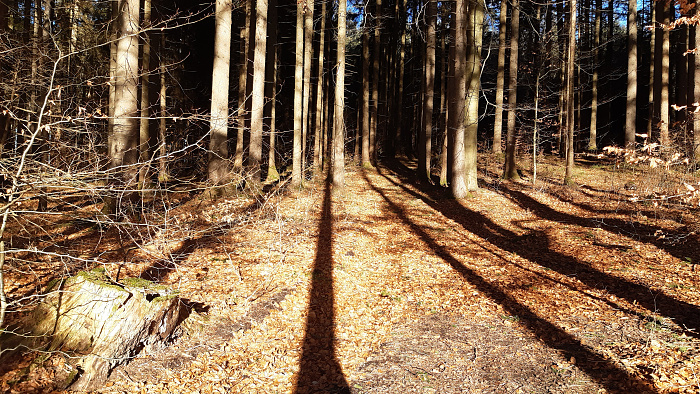 Klicke auf die Grafik für eine vergrößerte Ansicht  Name: Bild07_12.jpg Ansichten: 0 Größe: 6,00 MB ID: 3235615