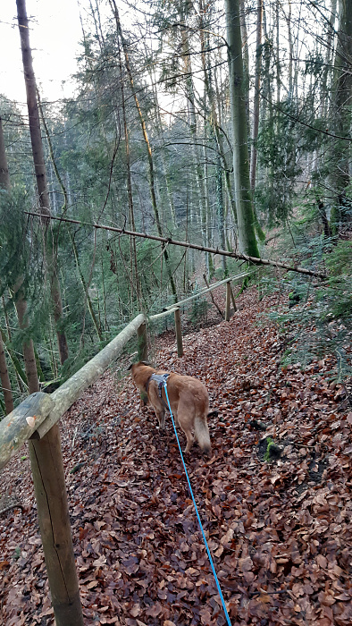 Klicke auf die Grafik für eine vergrößerte Ansicht  Name: steig.jpg Ansichten: 0 Größe: 3,93 MB ID: 3235618