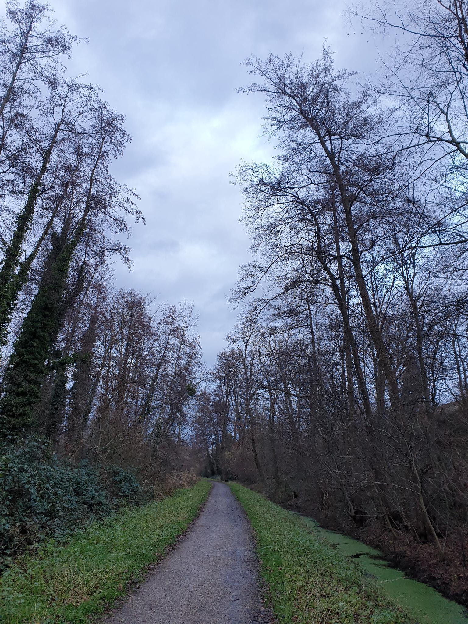 Klicke auf die Grafik für eine vergrößerte Ansicht  Name: Januar (1).jpg Ansichten: 0 Größe: 1,23 MB ID: 3236595