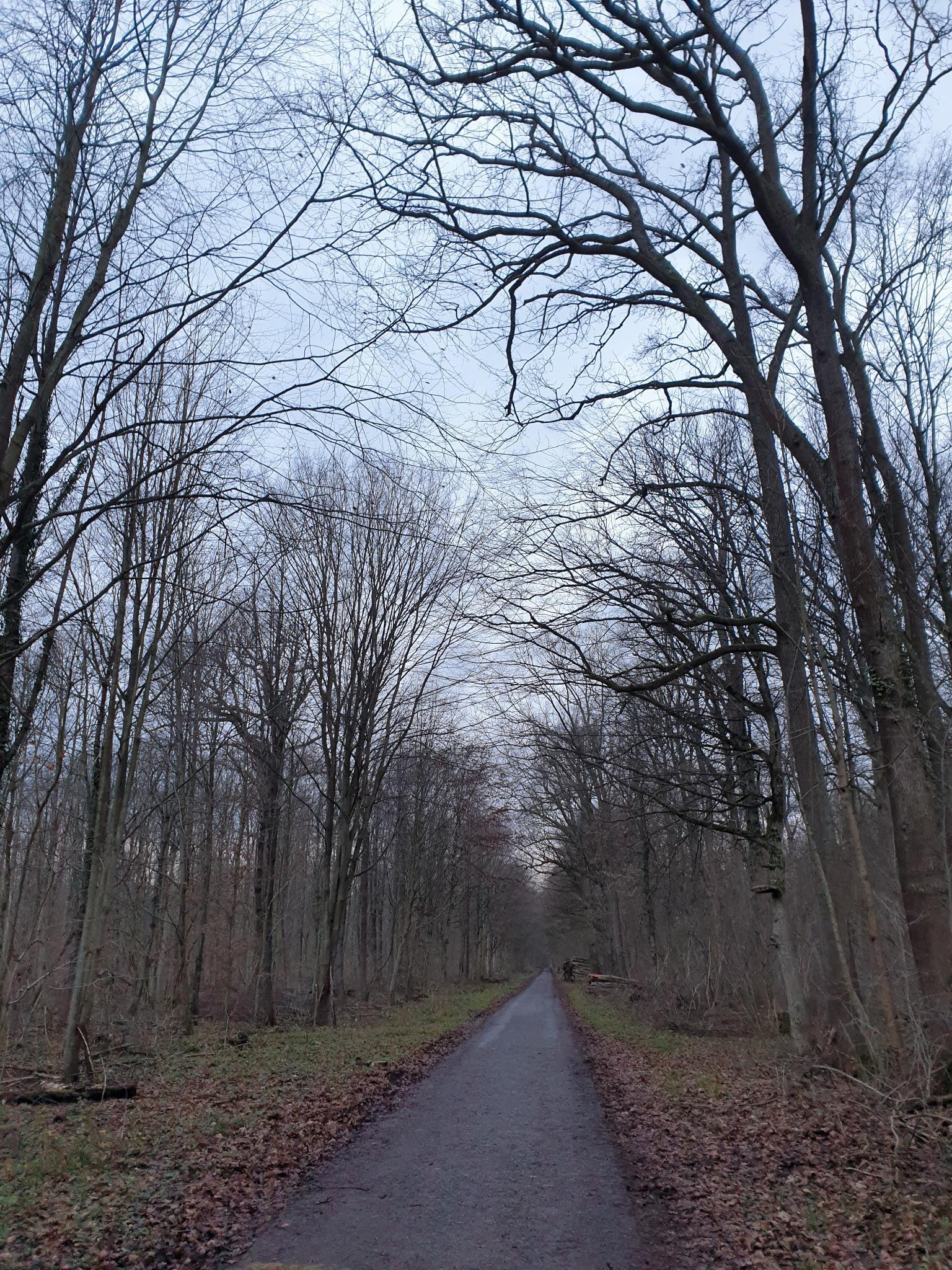 Klicke auf die Grafik für eine vergrößerte Ansicht  Name: Januar (3).jpg Ansichten: 0 Größe: 1,40 MB ID: 3236597