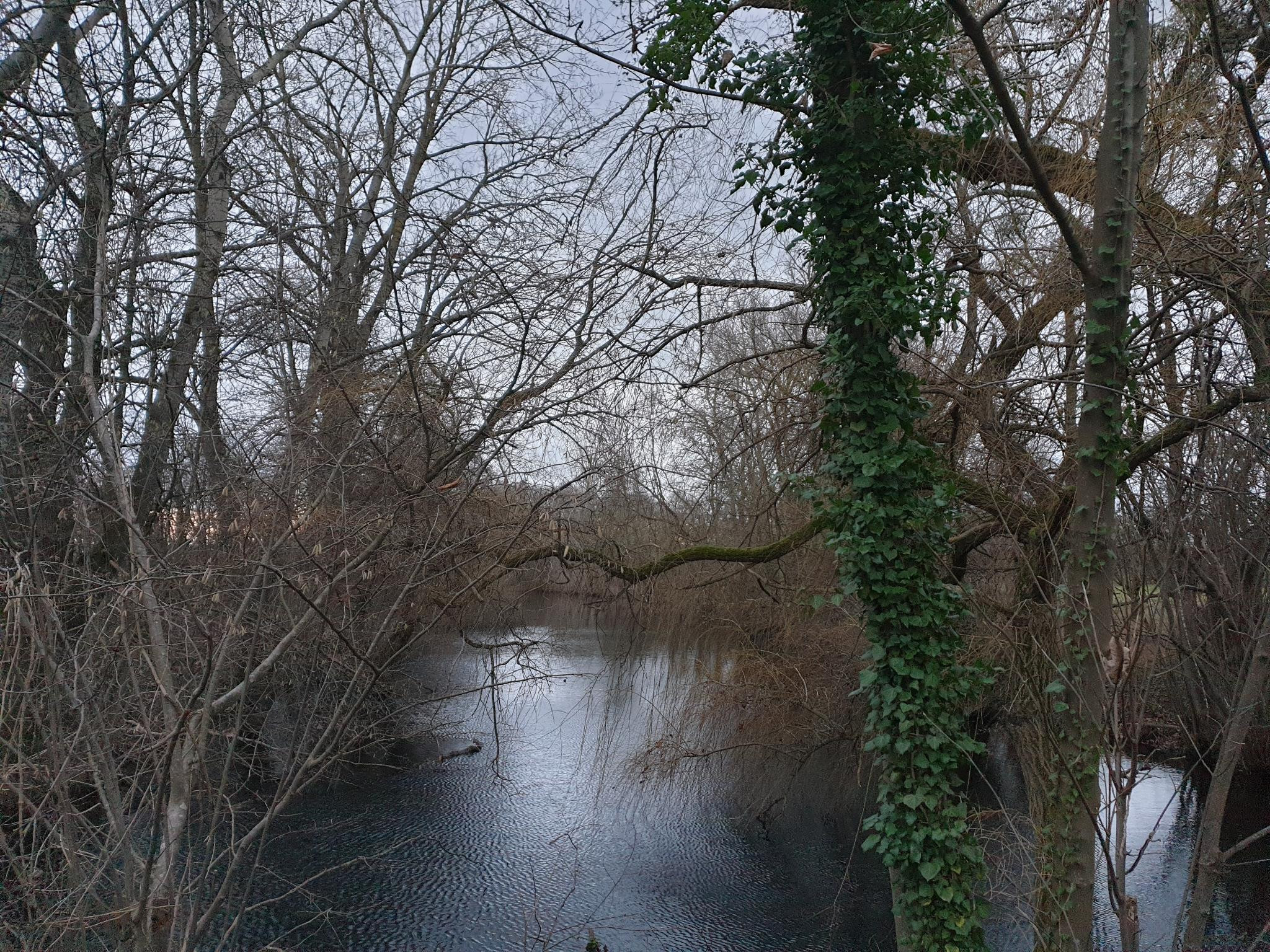Klicke auf die Grafik für eine vergrößerte Ansicht  Name: Januar (9).jpg Ansichten: 0 Größe: 1,41 MB ID: 3236603
