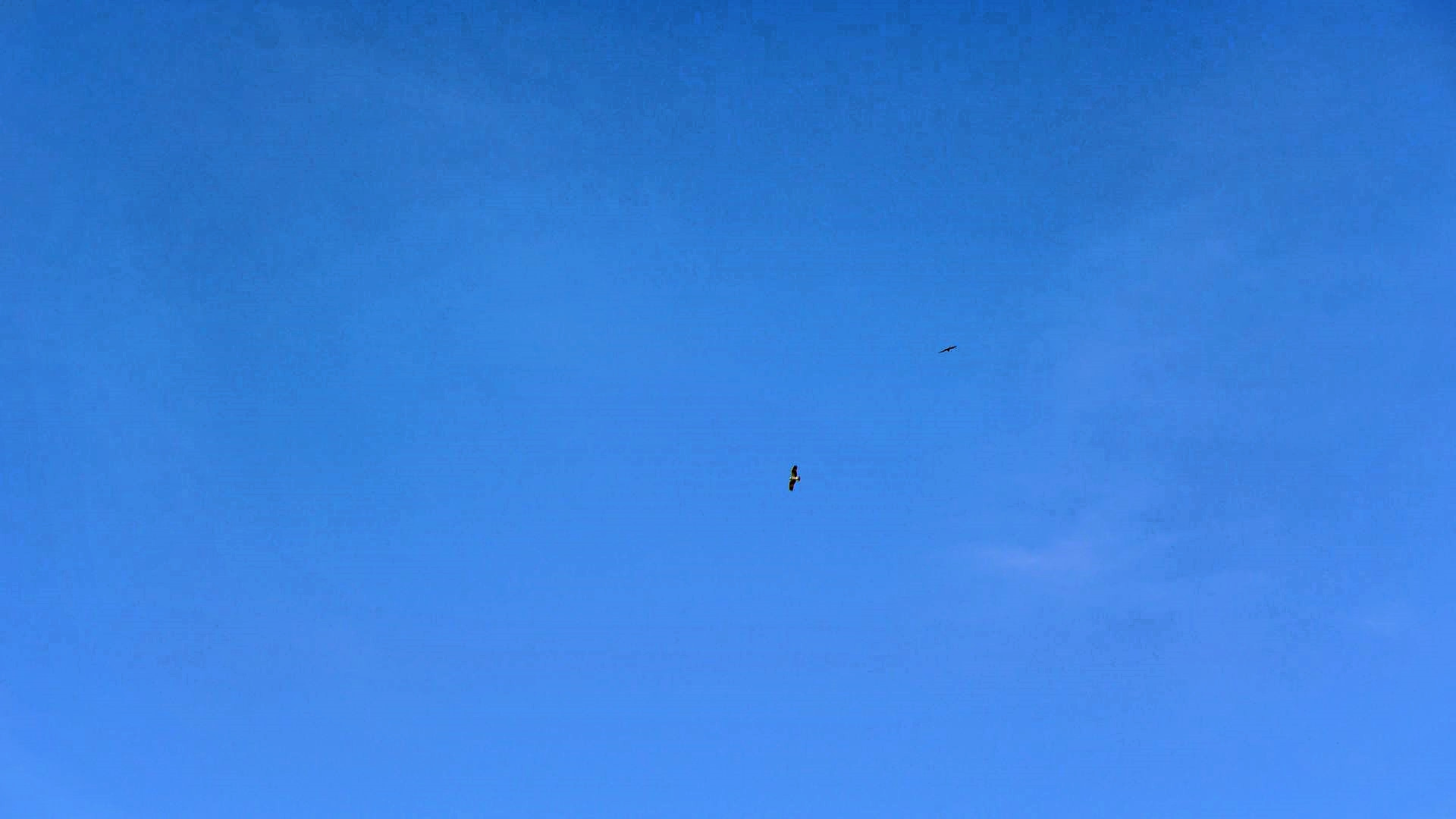 Klicke auf die Grafik für eine vergrößerte Ansicht

Name: P1160107R.jpg
Ansichten: 550
Größe: 158,3 KB
ID: 3237262