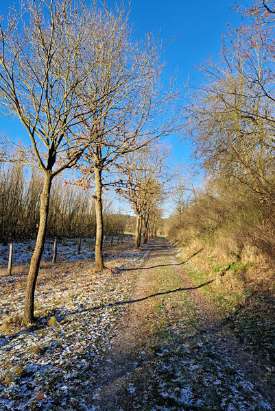 Klicke auf die Grafik für eine vergrößerte Ansicht  Name: 20240109_104307.jpg Ansichten: 0 Größe: 178,1 KB ID: 3239509