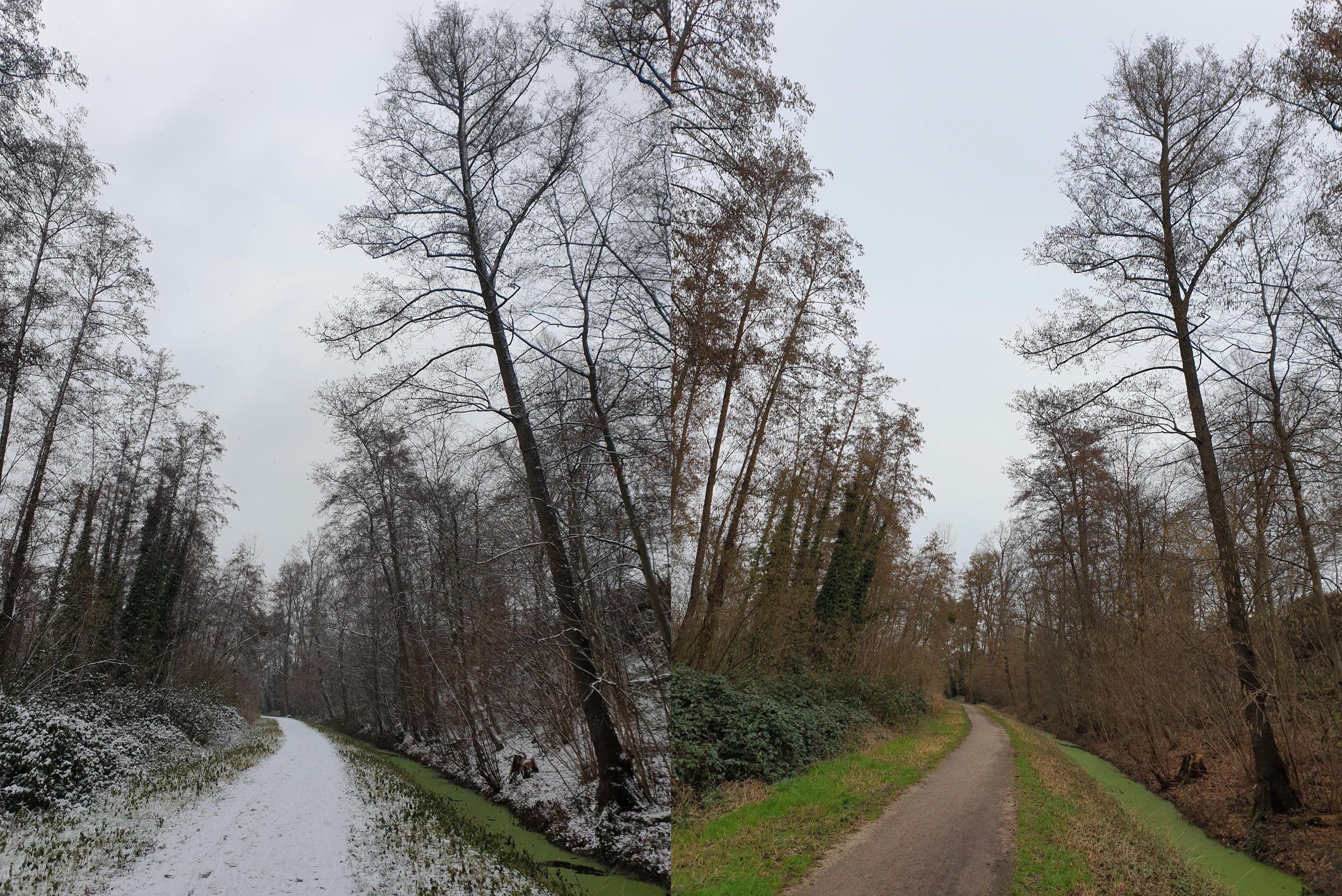 Klicke auf die Grafik für eine vergrößerte Ansicht  Name: JanFeb_1.jpg Ansichten: 0 Größe: 2,60 MB ID: 3243773