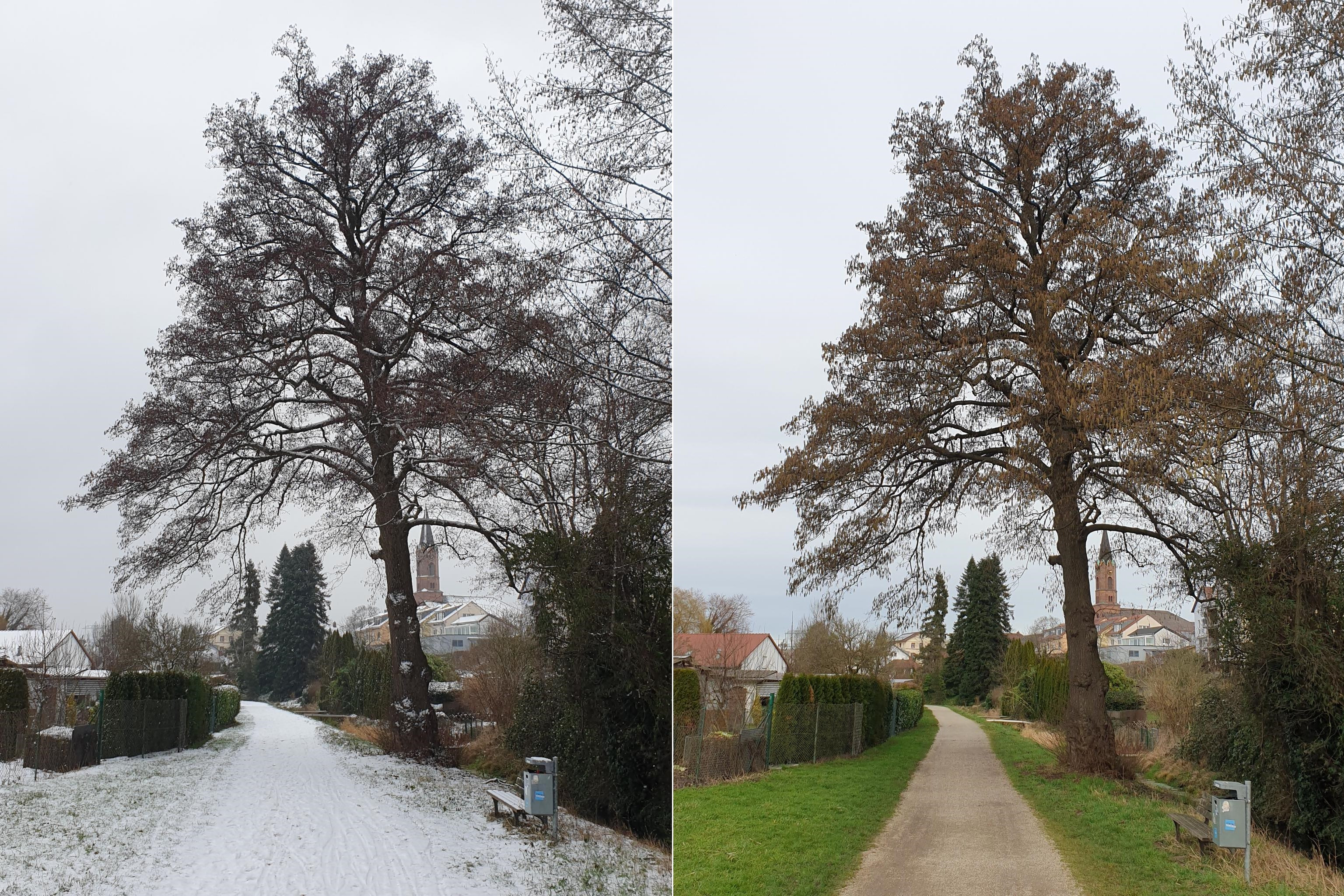 Klicke auf die Grafik für eine vergrößerte Ansicht  Name: JanFeb_2.jpg Ansichten: 0 Größe: 2,34 MB ID: 3243776