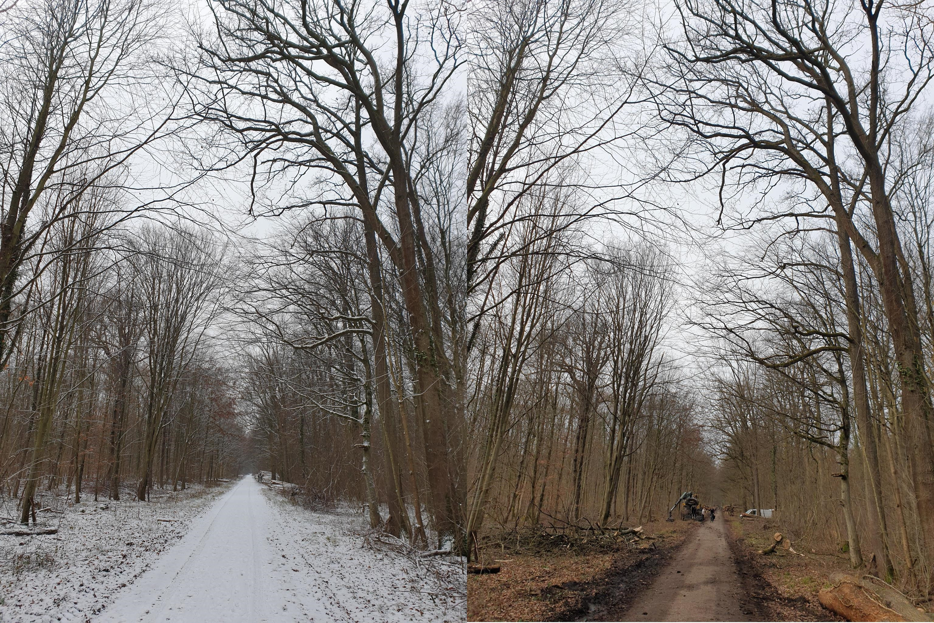 Klicke auf die Grafik für eine vergrößerte Ansicht  Name: JanFeb_3.jpg Ansichten: 0 Größe: 3,20 MB ID: 3243777