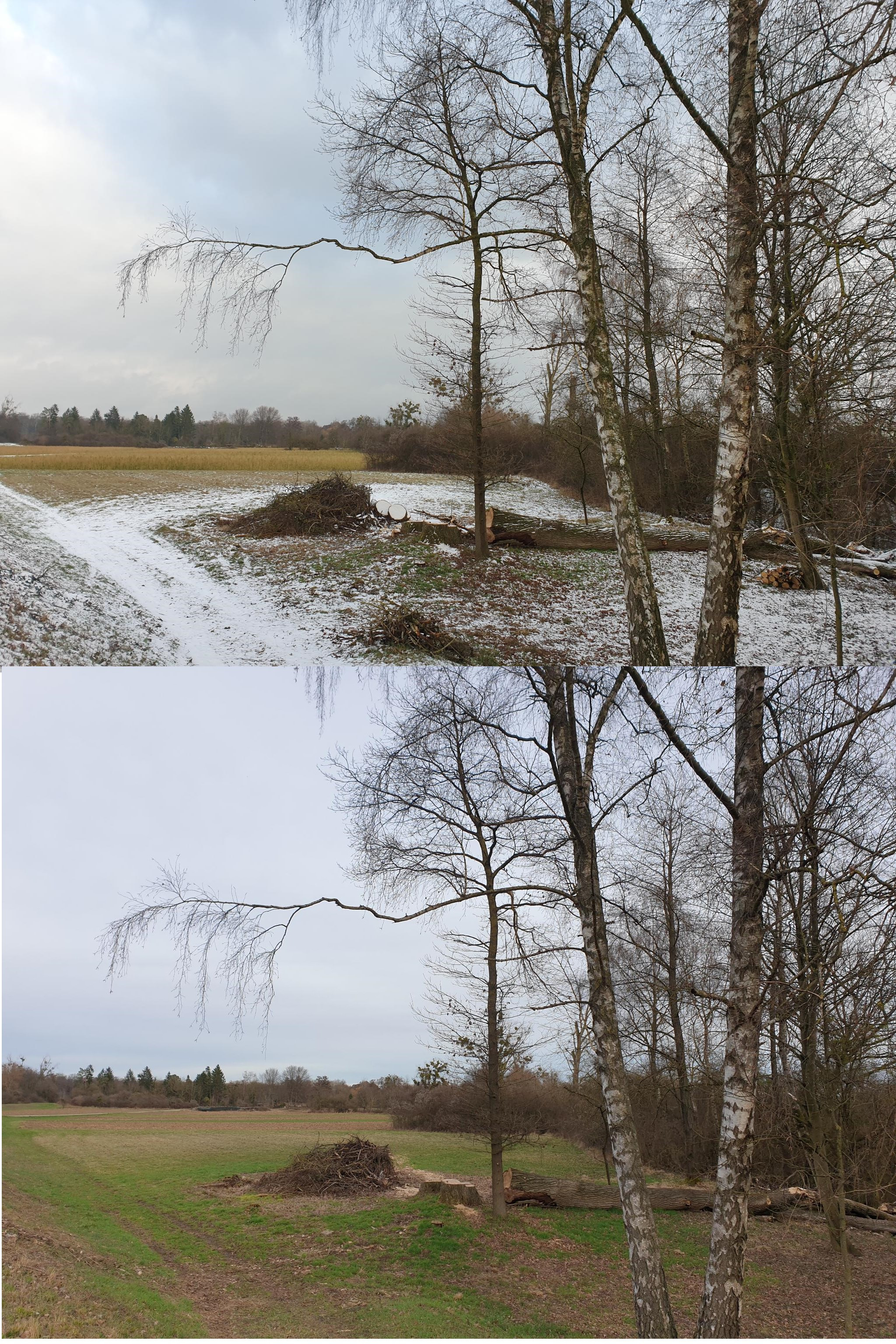 Klicke auf die Grafik für eine vergrößerte Ansicht  Name: JanFeb_12.jpg Ansichten: 0 Größe: 2,46 MB ID: 3243791