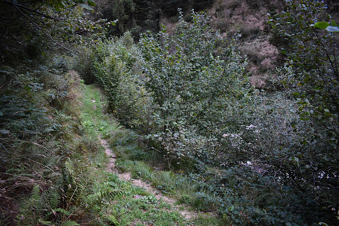 Klicke auf die Grafik für eine vergrößerte Ansicht  Name: DSC_0584.jpg Ansichten: 0 Größe: 1,42 MB ID: 3244050