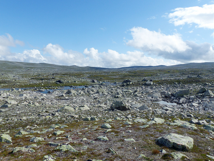 Klicke auf die Grafik für eine vergrößerte Ansicht

Name: 37_202308_NOR_Borgefjell_078.jpg
Ansichten: 972
Größe: 3,87 MB
ID: 3244683