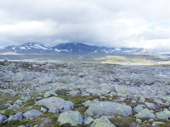Klicke auf die Grafik für eine vergrößerte Ansicht

Name: 38_202308_NOR_Borgefjell_077.jpg
Ansichten: 954
Größe: 3,46 MB
ID: 3244684