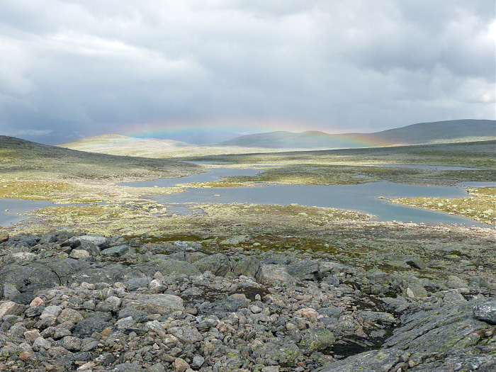 Klicke auf die Grafik für eine vergrößerte Ansicht

Name: 40_202308_NOR_Borgefjell_082.jpg
Ansichten: 951
Größe: 3,61 MB
ID: 3244686