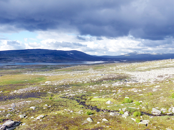 Klicke auf die Grafik für eine vergrößerte Ansicht  Name: 47_202308_NOR_Borgefjell_093.jpg Ansichten: 0 Größe: 3,98 MB ID: 3244872