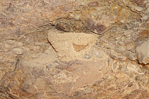 Klicke auf die Grafik für eine vergrößerte Ansicht  Name: K1024_LS_04730.jpg Ansichten: 0 Größe: 248,2 KB ID: 3245116