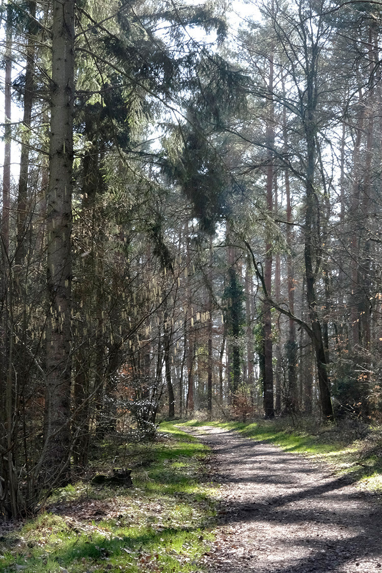 Klicke auf die Grafik für eine vergrößerte Ansicht

Name: Bordenau_E1_22.jpg
Ansichten: 293
Größe: 474,8 KB
ID: 3246256