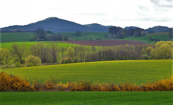 Klicke auf die Grafik für eine vergrößerte Ansicht  Name: eichbachtal frühling 4.jpg Ansichten: 15 Größe: 104,0 KB ID: 3248131
