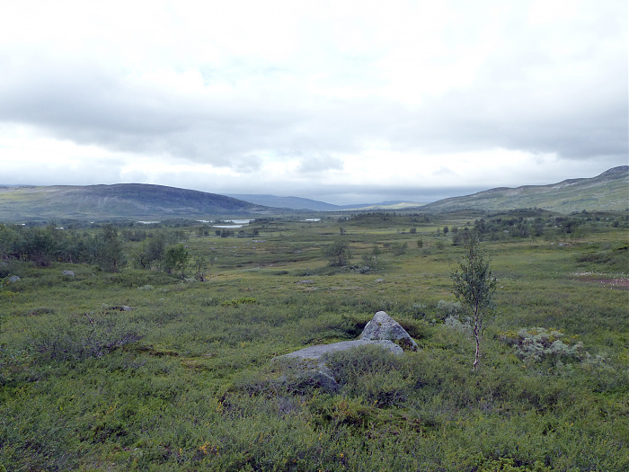 Klicke auf die Grafik für eine vergrößerte Ansicht

Name: 202308_NOR_Borgefjell_133.jpg
Ansichten: 597
Größe: 2,65 MB
ID: 3250297