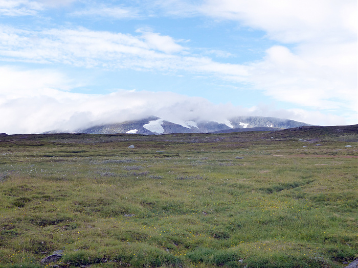 Klicke auf die Grafik für eine vergrößerte Ansicht

Name: 202308_NOR_Borgefjell_149.jpg
Ansichten: 514
Größe: 2,91 MB
ID: 3250703