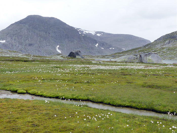 Klicke auf die Grafik für eine vergrößerte Ansicht  Name: 202308_NOR_Borgefjell_170.jpg Ansichten: 0 Größe: 3,55 MB ID: 3252707
