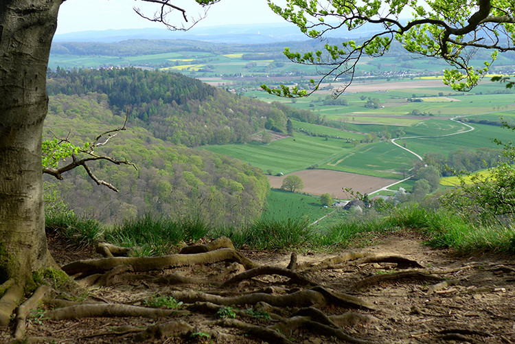 Klicke auf die Grafik für eine vergrößerte Ansicht  Name: Weserberglandweg_79.jpg Ansichten: 0 Größe: 213,1 KB ID: 3253444