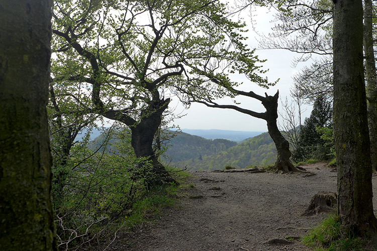 Klicke auf die Grafik für eine vergrößerte Ansicht  Name: Weserberglandweg_76.jpg Ansichten: 0 Größe: 215,7 KB ID: 3253509