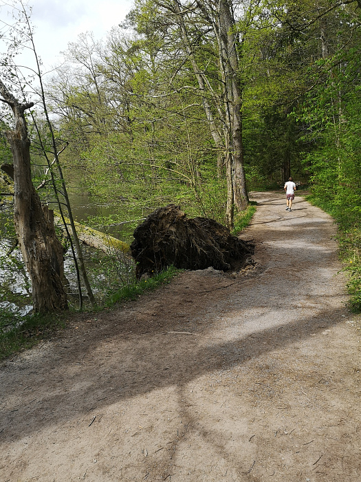 Klicke auf die Grafik für eine vergrößerte Ansicht

Name: Baum.jpg
Ansichten: 555
Größe: 4,78 MB
ID: 3253494
