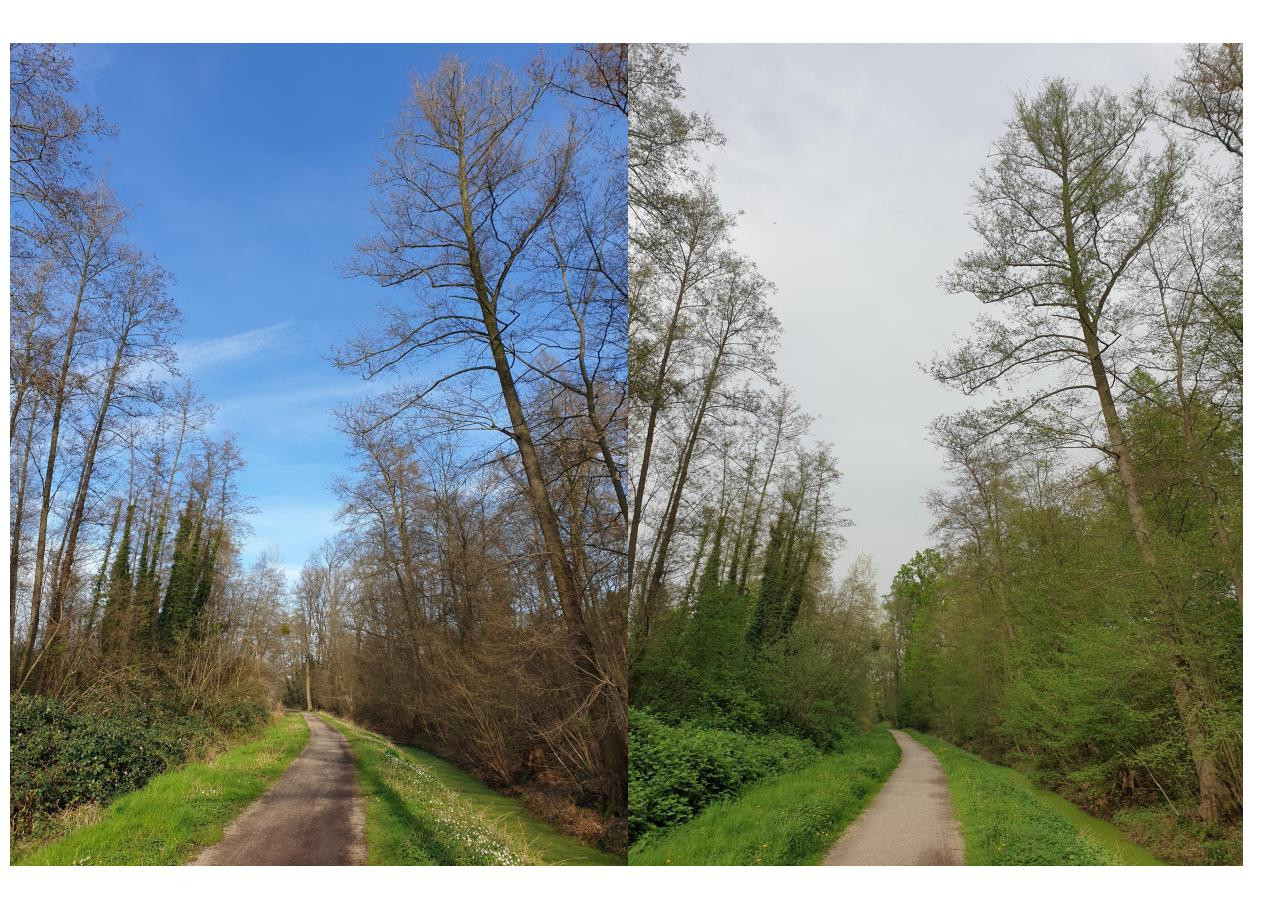 Klicke auf die Grafik für eine vergrößerte Ansicht  Name: März_April_1.jpg Ansichten: 0 Größe: 401,9 KB ID: 3253647