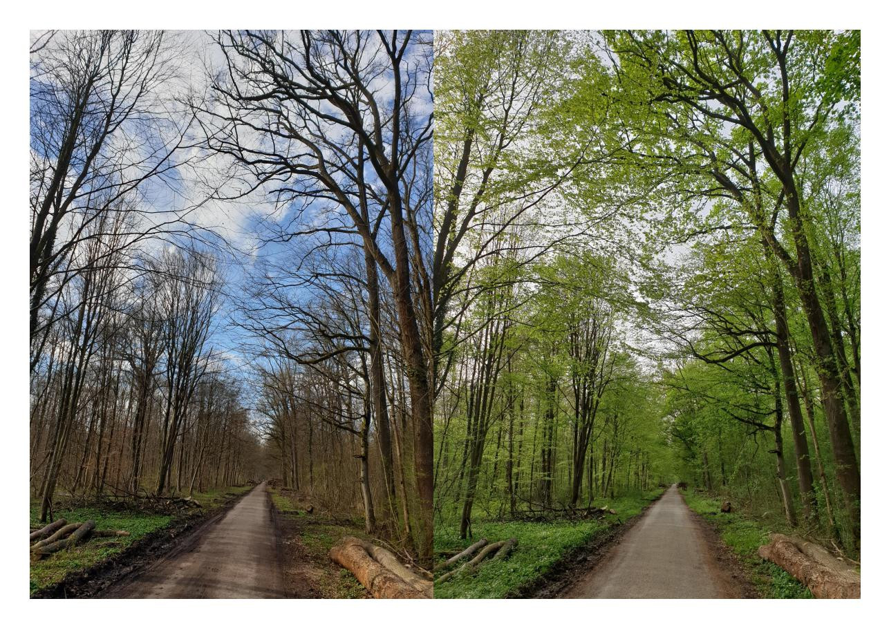 Klicke auf die Grafik für eine vergrößerte Ansicht  Name: März_April_3.jpg Ansichten: 0 Größe: 537,8 KB ID: 3253651