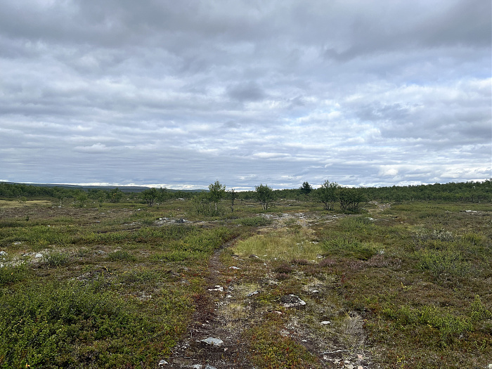 Klicke auf die Grafik für eine vergrößerte Ansicht  Name: 20230-09 Varanger - 000081.jpg Ansichten: 0 Größe: 4,43 MB ID: 3253748